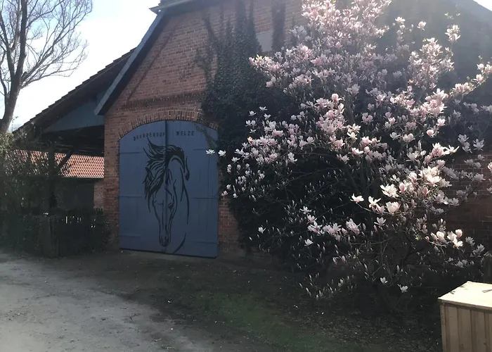 Brunnenhof Welze Σπίτι διακοπών *